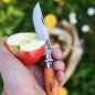 Preview: OPINEL No. 08 Taschenmesser mit Etui, Carbon