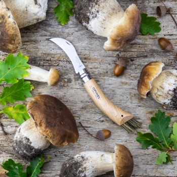 Opinel Pilzmesser No. 8 mit Bürste und Etui