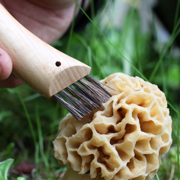 Opinel Pilzmesser No. 08 mit Bürste – Klappmesser für Pilzsammler