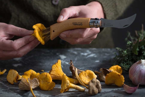 Opinel Pilzmesser No. 8 mit Bürste und Etui